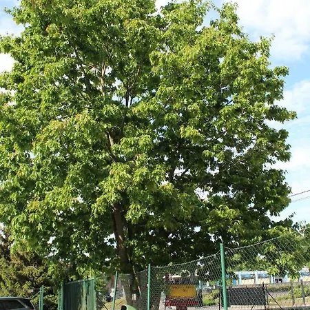 酒店 沙勒罗瓦典雅生态酒店